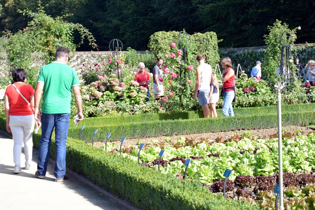 Museumtuin Gaasbeek Zet Poort Gratis Open Op Ideaal Moment Lennik