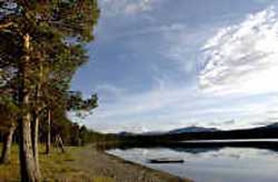 Zweden Van Beren En Broodjes Smeren Het Nieuwsblad Mobile