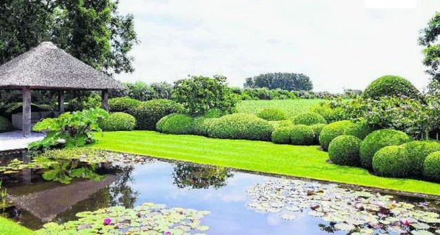 Onthaasten in immer groene tuin (Damme) Het Nieuwsblad