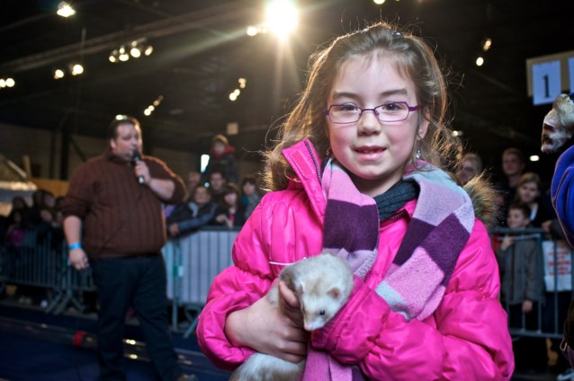 Dieren stelen de show