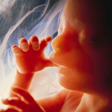 Onvruchtbare vrouw bevalt na transplantatie eierstokweefsel