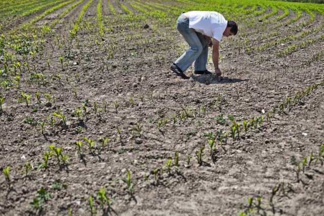 Al 100 miljoen euro schade door droogte