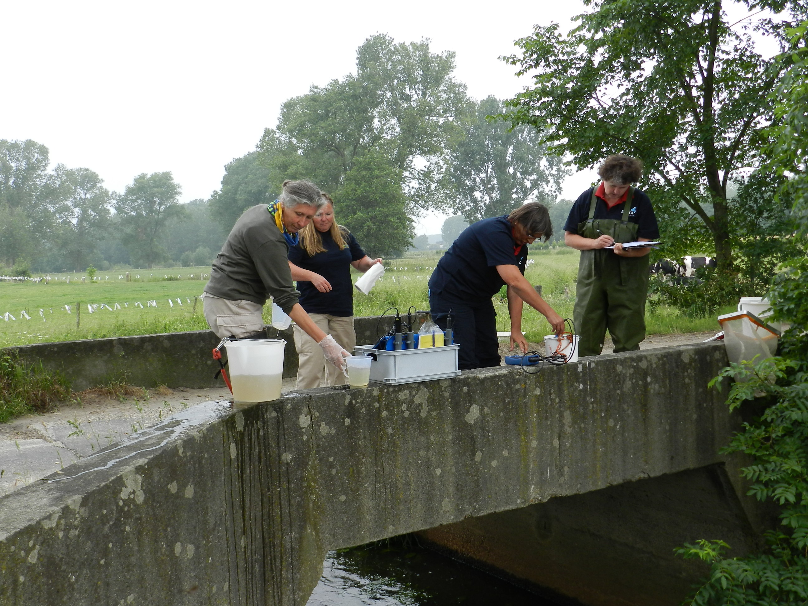 Vlaanderen En Nederland Meten Waterkwaliteit T Merkske Hoogstraten Het Nieuwsblad