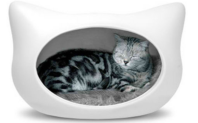 vergaan Voorlopige vereist FOTOSPECIAL. Vijf designmeubels voor katten | Het Nieuwsblad Mobile