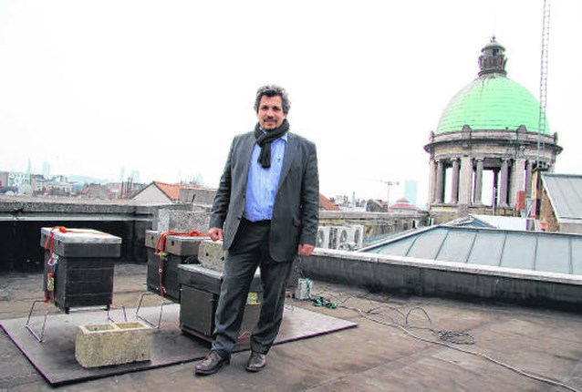 200.000 bijen op dak gemeentehuis Molenbeek