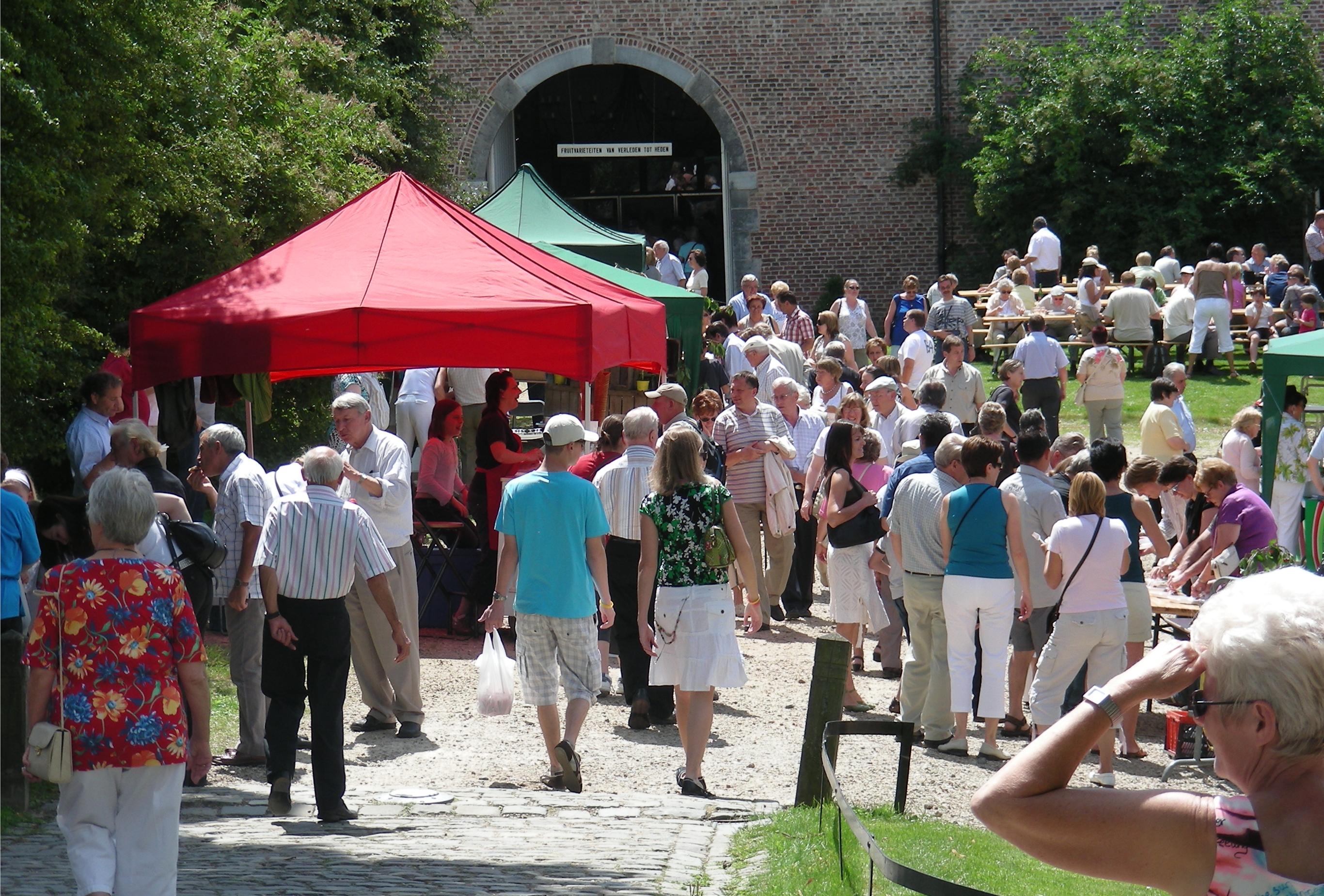 De kers op de taart | Het Nieuwsblad