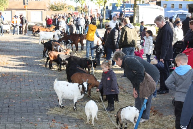 Jaarmarkt heeft voor ieder wat wils (Boom) - Het Nieuwsblad