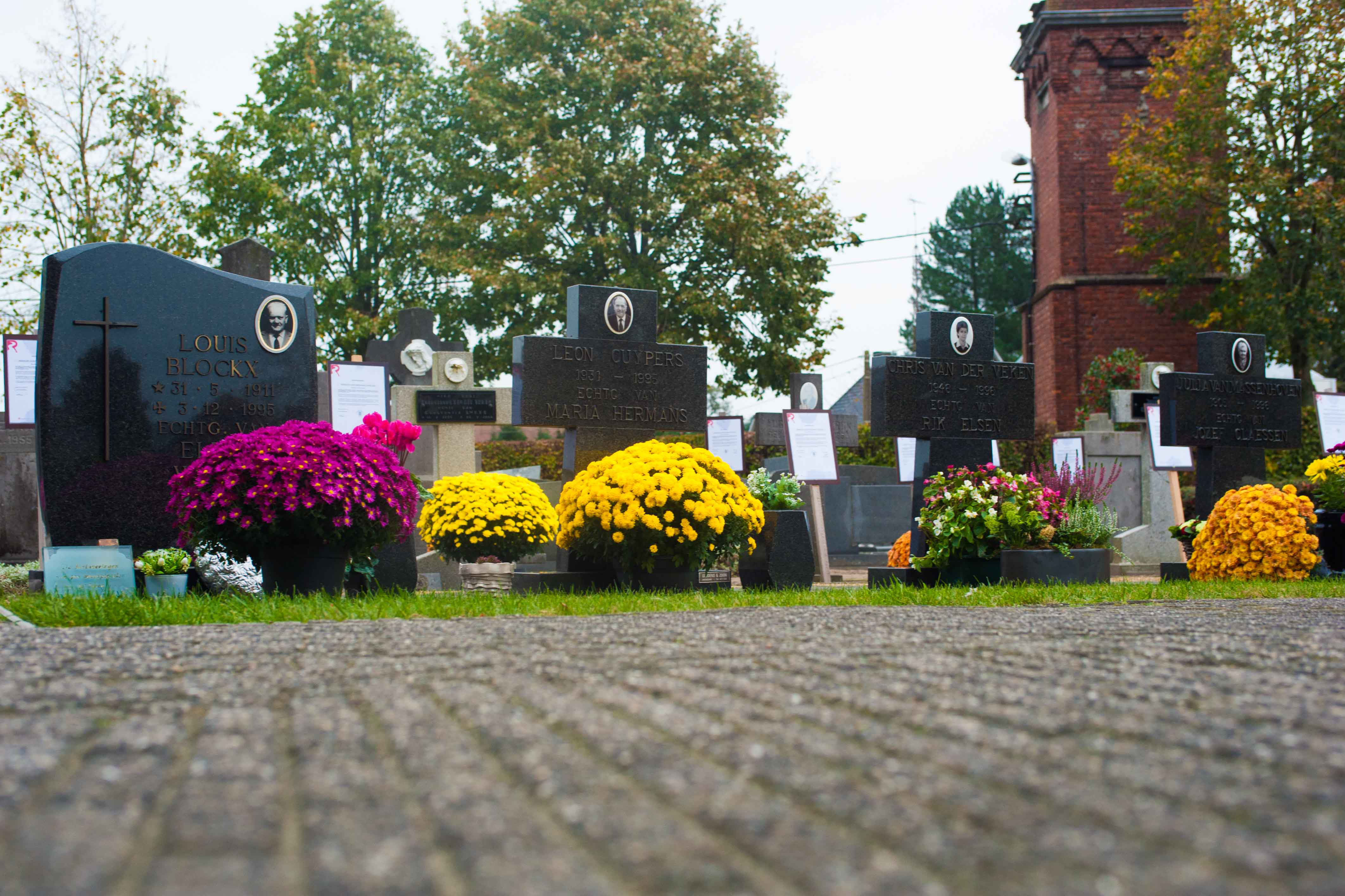 Bloemen Voor Vaas Kerkhof - Bloemen