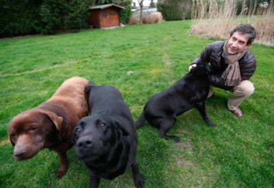 Gas Boetes Voor Blaffende Honden Kwijtgescholden Melle Het Nieuwsblad Mobile