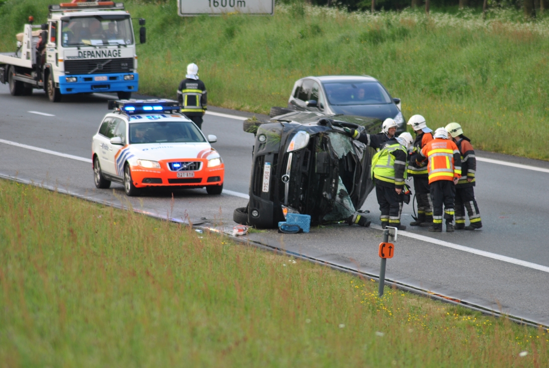 Ree veroorzaakt ongeval (Zonnebeke) - Het Nieuwsblad