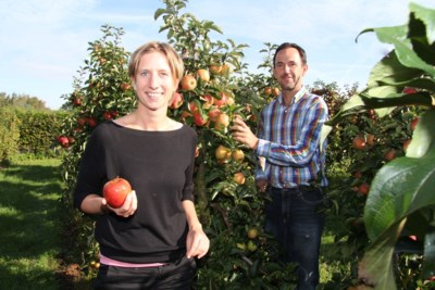 Wase Perenteler Krijgt Steun Van Albert Heijn Sint Gillis Waas Het Nieuwsblad Mobile