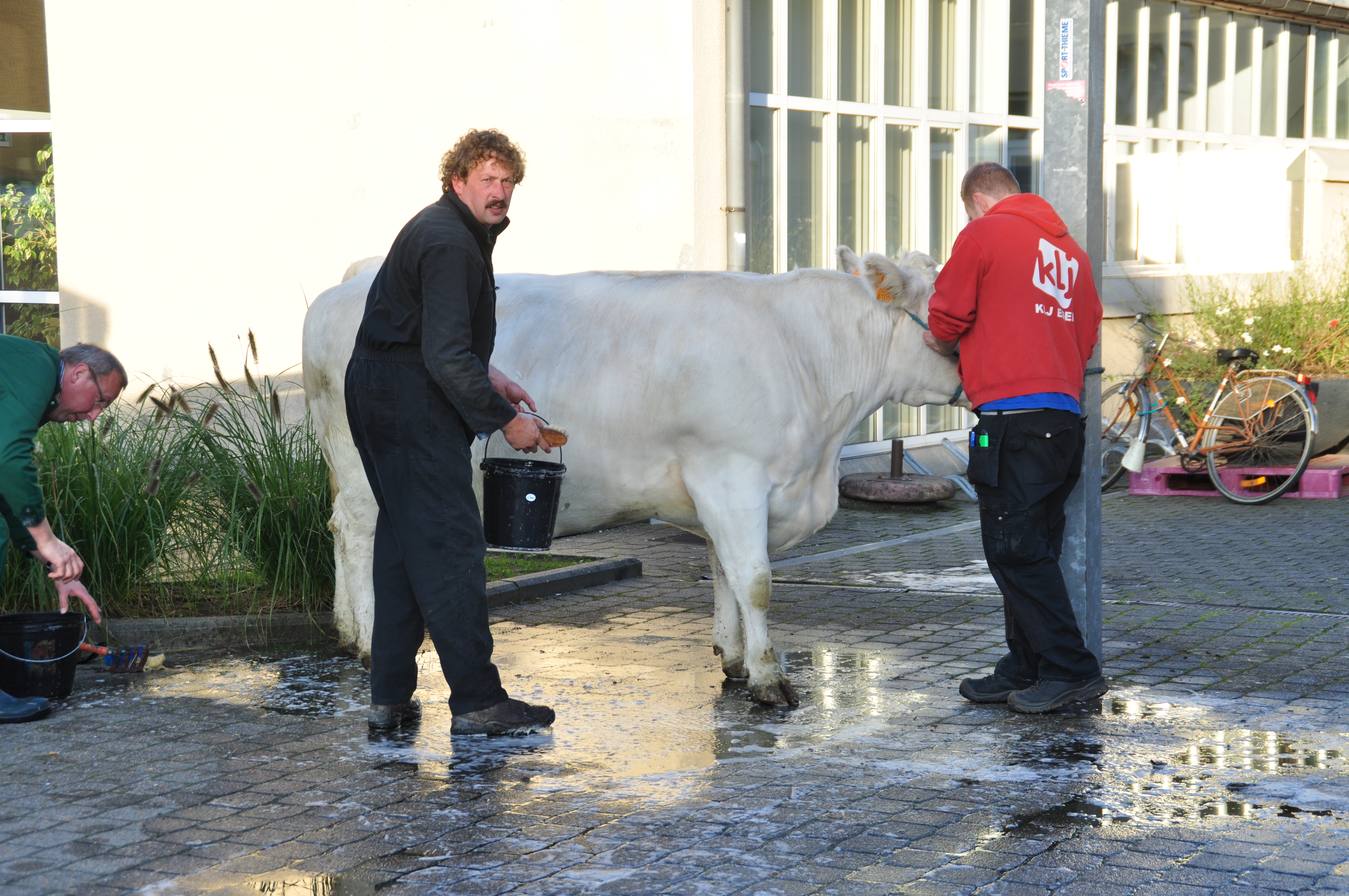 Al meteen massa op Houtem Jaarmarkt (SintLievensHoutem) Het Nieuwsblad