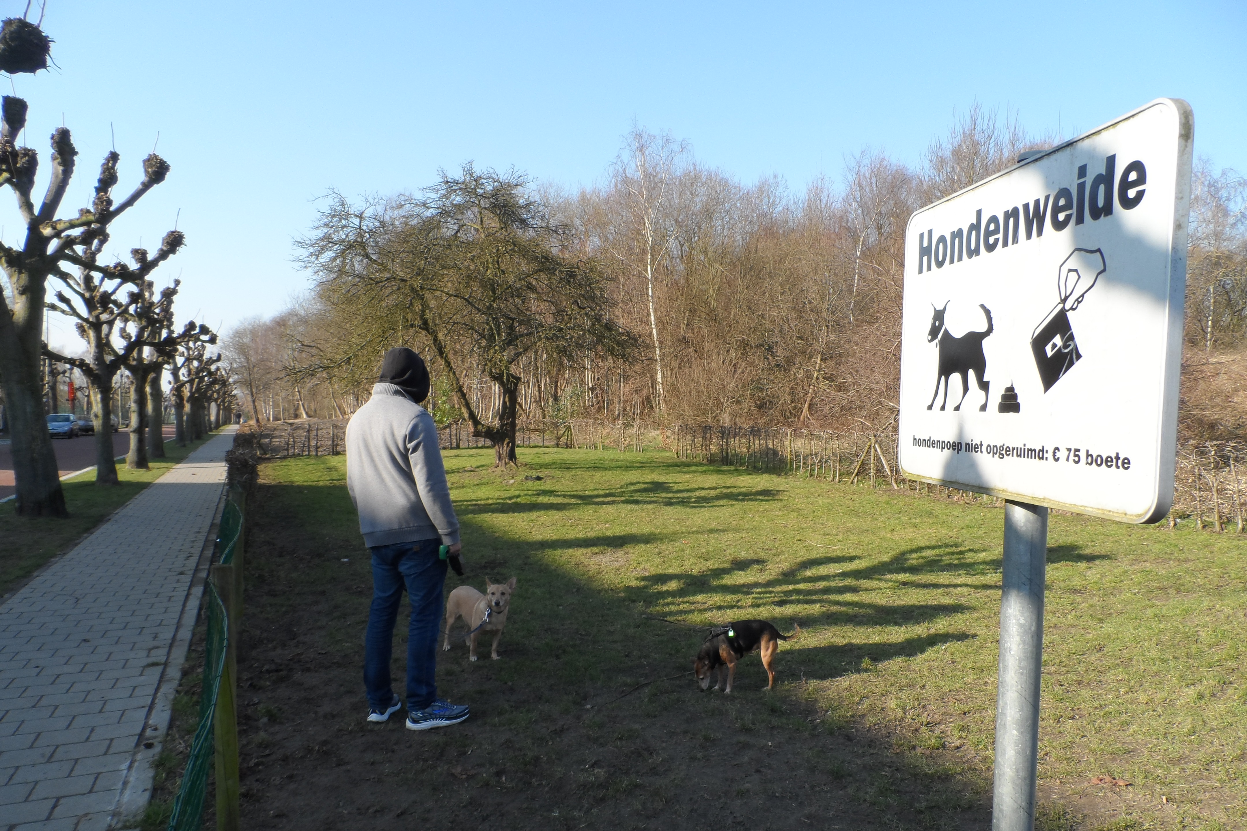 Meer Ruimte Voor Hondenweides (Hemiksem) - Het Nieuwsblad