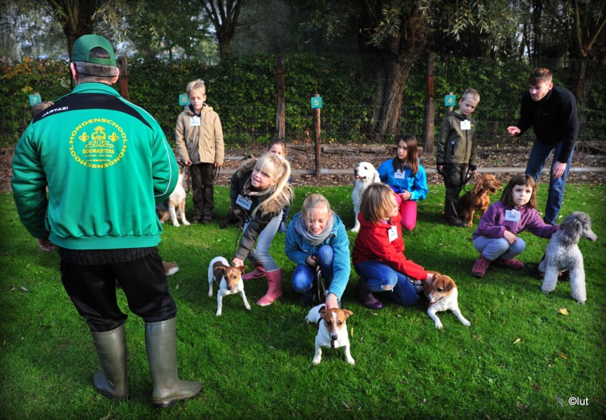 FOTO. Roefeldag: kinderen helpen mee op boerderij, in honden