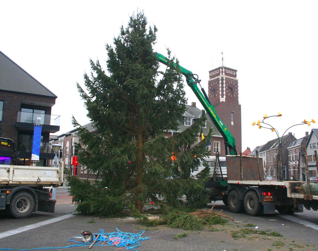 14 Meter Hoge Kerstboom Blikvanger Op Marktplein Pelt Het Nieuwsblad