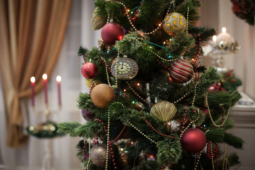 Welke kerstboom houdt het langst zijn naalden? Het Nieuwsblad