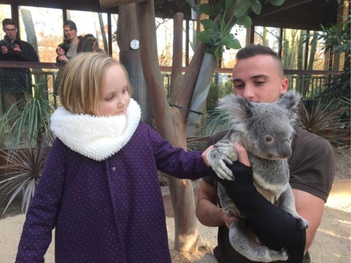 Weldoener Marc Coucke opent Pairi Daiza speciaal voor doodzieke Sofie (4)