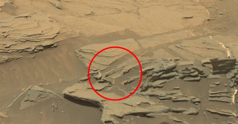 Toont deze foto het bewijs van leven op Mars? - Het Nieuwsblad