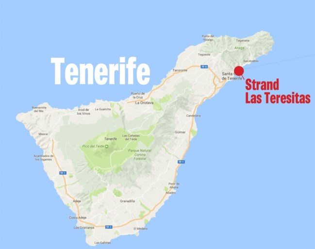 Ontsnapt aan de dood: Vliegtuigje met Belgisch koppel crasht op strand van Tenerife