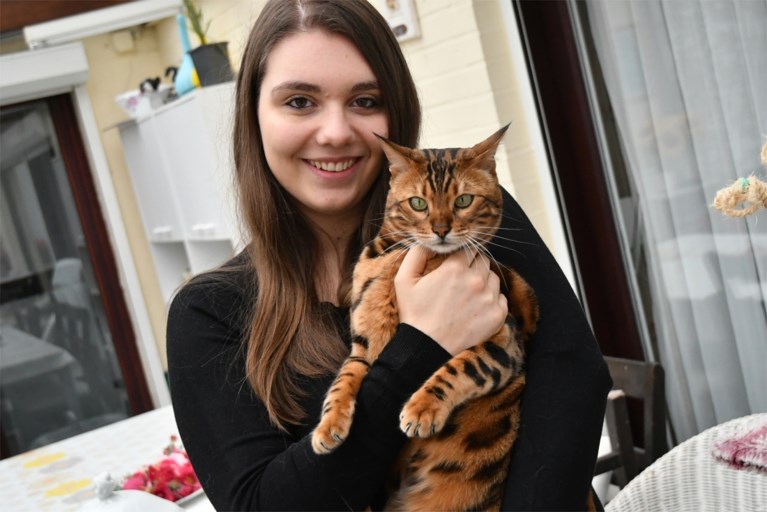 Deze kat is zo speciaal dat ze dezelfde manager krijgt als Astrid 'Bryan' Coppens