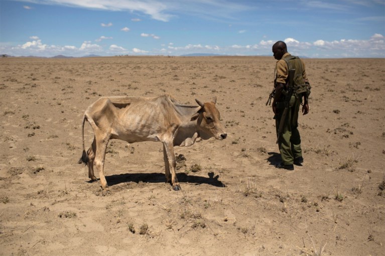 11 miljoen mensen lopen gevaar: “Het is zo droog dat zelfs kamelen sterven”