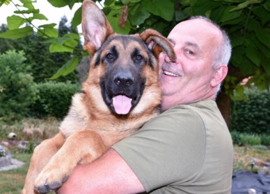 Petitie En Kritiek Op Asiel 450 Euro Is Te Duur Voor Hond Het Nieuwsblad Mobile