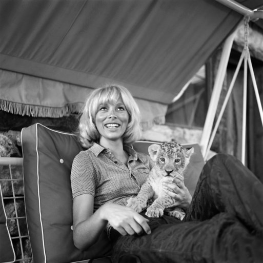 Franse actrice Mireille Darc (79) overleden