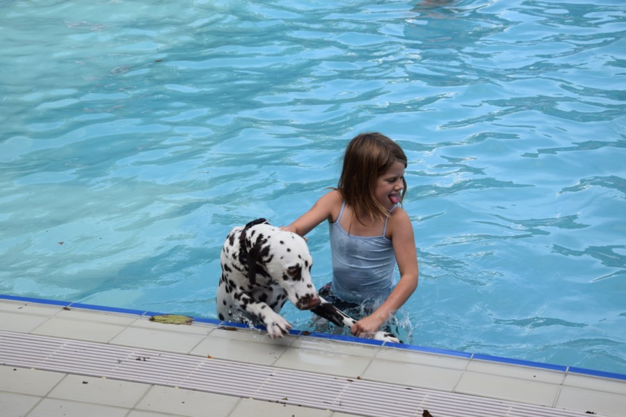 FOTO VIDEO Doggy Splash Day In Buitenzwembad Izegem Het Nieu