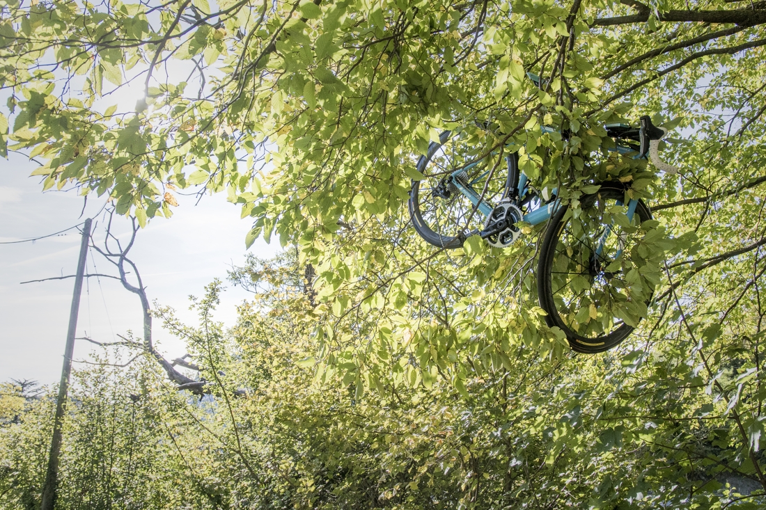 RECONSTRUCTIE. “Zijn fiets moesten we met stokken uit de boom halen,  Bakelants was vijf meter naar beneden gevallen” | Het Nieuwsblad Mobile