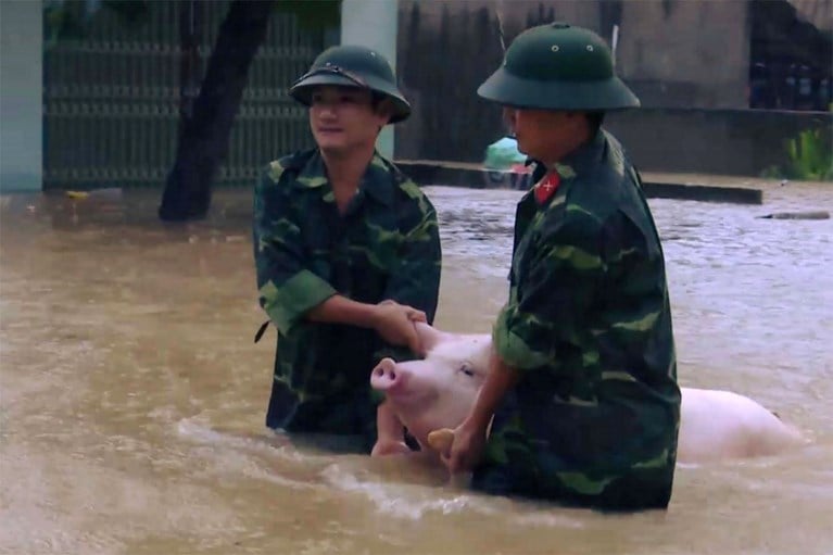 Zeker 37 doden en 40 vermisten bij overstromingen in Vietnam
