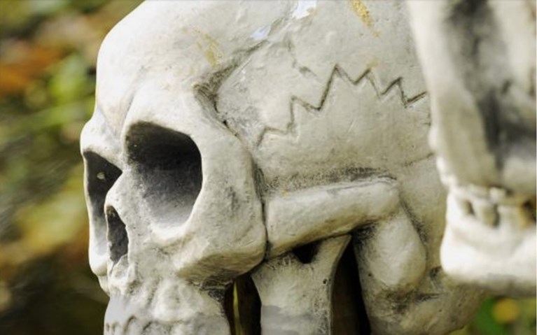 Dit hebben de pretparken in petto voor Halloween