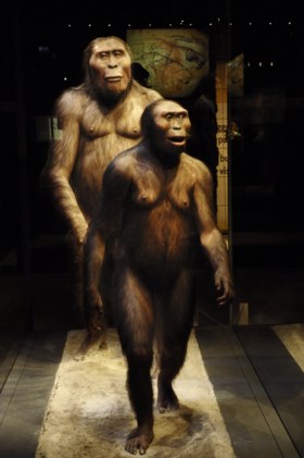 Moeten wetenschappers geschiedenis van de mens herschrijven na belangrijke archeologische vondst?