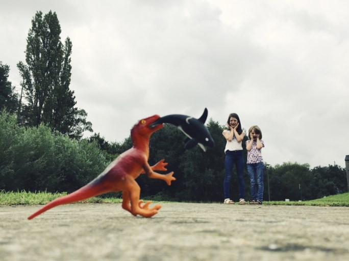 “Maak nooit selfies met je selfielens” en andere tips voor betere smartphonefoto’s