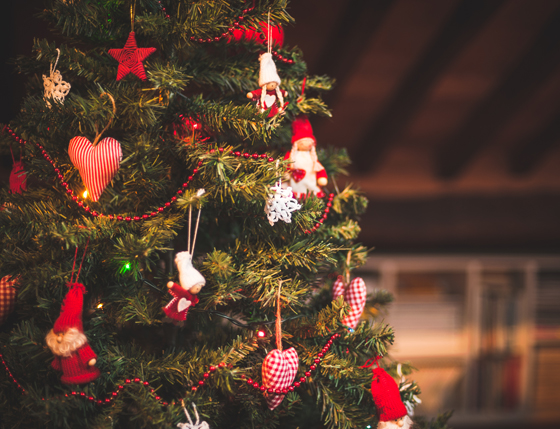 impliciet plein leven Waarop moet je letten als je een kerstboom koopt? Wij helpen je op weg |  Het Nieuwsblad Mobile