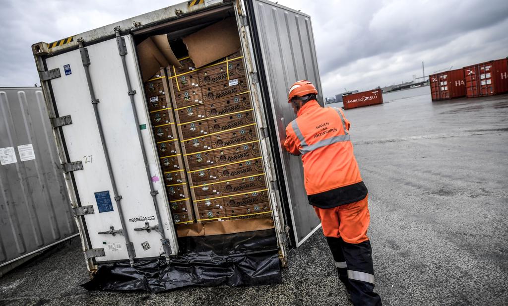 Vuitton-bende: drie dokwerkers en baas transportfirma in cel voor invoer  van 1,3 ton cocaïne, Antwerpen