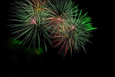 Wij Genieten Dieren Lijden Bij Vuurwerk Dus Roepen Gemeent Oudenaarde Het Nieuwsblad Mobile