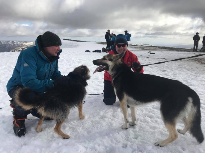 Klimmer ziet dat twee honden vastzitten op berg. En dan begint de race tegen de klok