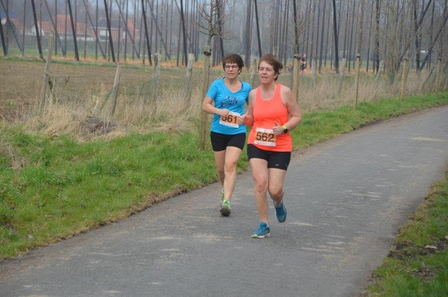 FOTO 340 Deelnemers Op 19de Pegasusloop Londerzeel Het Nieuwsblad