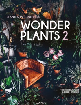 Je kan nooit te veel planten hebben: met deze tips blijven ze het hele jaar mooi