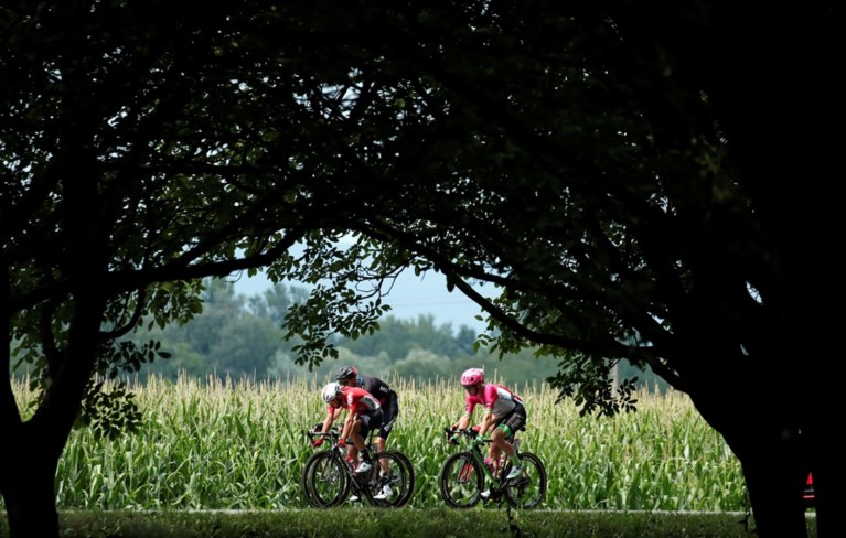 Peter Sagan geeft groene trui nog extra glans met derde ritzege, Belgen kleuren etappe