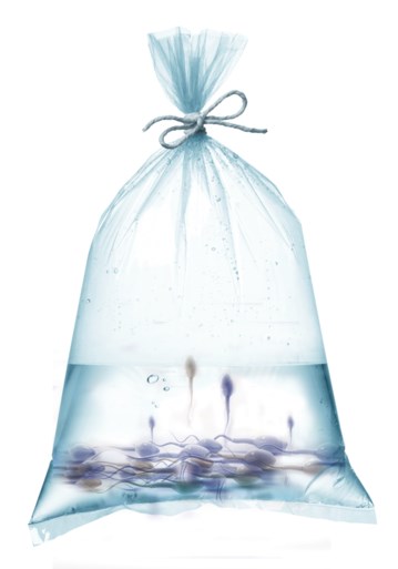 Wat is de vloeistof in speelgoedbabyflessen