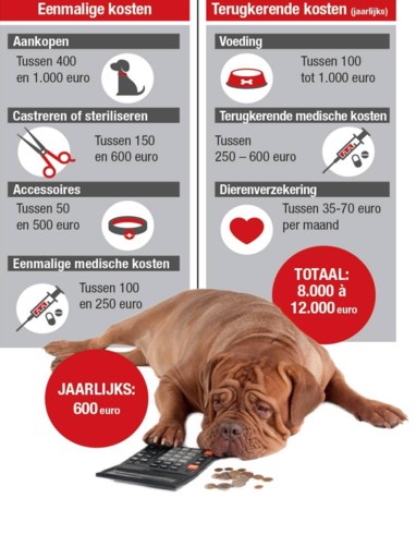 Zoveel Kost Een Hond Je Echt We Zien Dikwijls Dat Baasjes Het Nieuwsblad Mobile