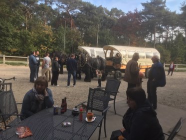 Ware Gans Op Huifkarrentocht Berendrecht Zandvliet Lillo Het Nieuwsblad Mobile