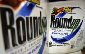 Geen nieuw Roundup-proces: slachtoffer aanvaardt schadevergoeding