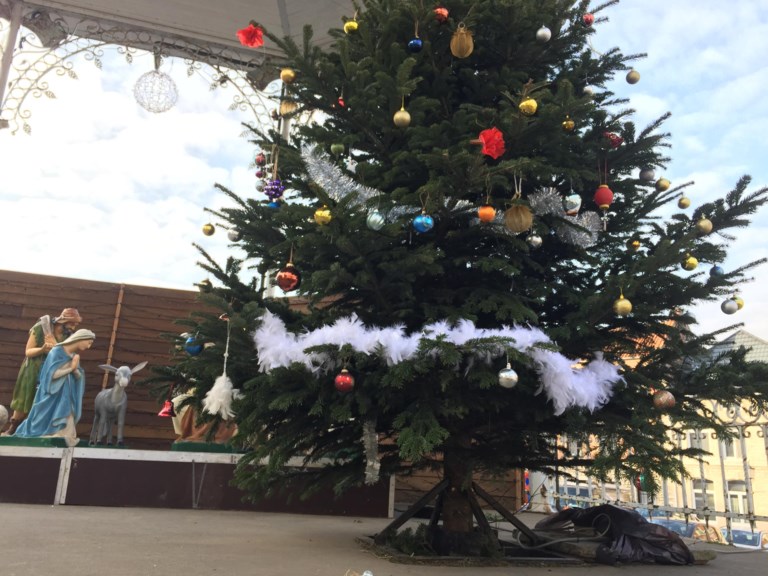 Kale Kerstboom Valt Niet In De Smaak Het Nieuwsblad