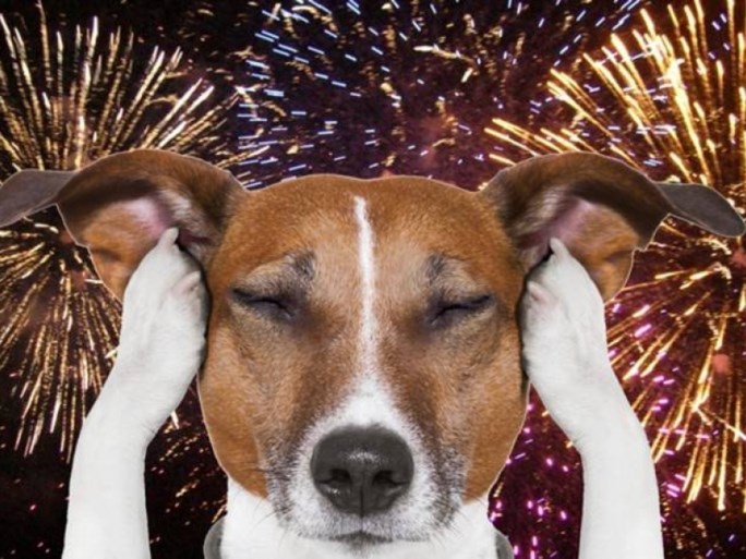 Laat Vuurwerk Je Feest Niet Verknallen Lees Dit Door Voor J Het Nieuwsblad Mobile