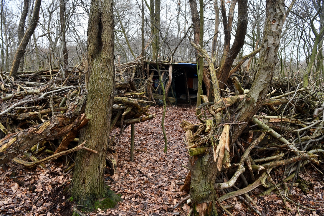 Kleren, matras, slaapzak en wc-rol gevonden, maar geen spoor van 'bewoner'  zelfgemaakt kamp in bos | Het Nieuwsblad Mobile