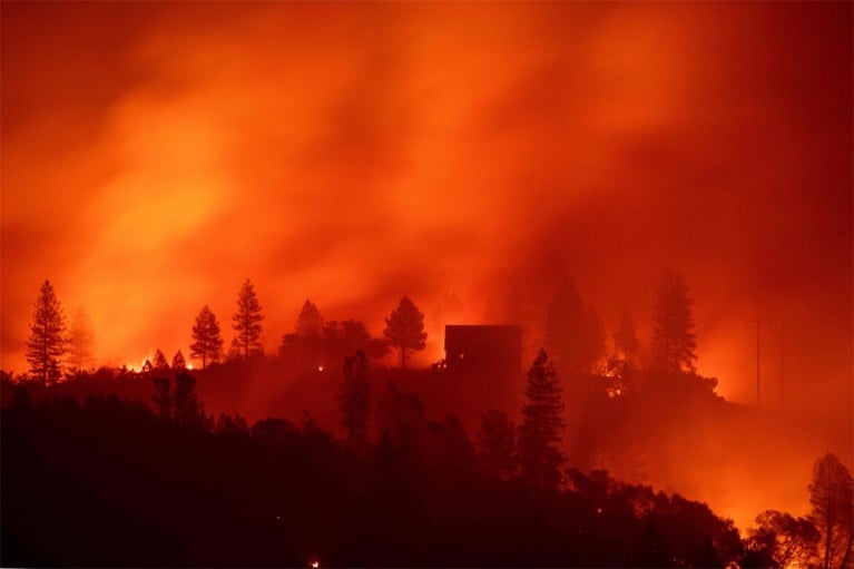 Bedrijf vraagt bescherming tegen schuldeisers na dodelijkste bosbranden ooit in Californië