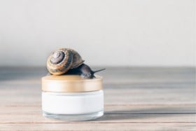 Smeren we straks slakkenslijm op ons gezicht? “Het heeft potentieel”
