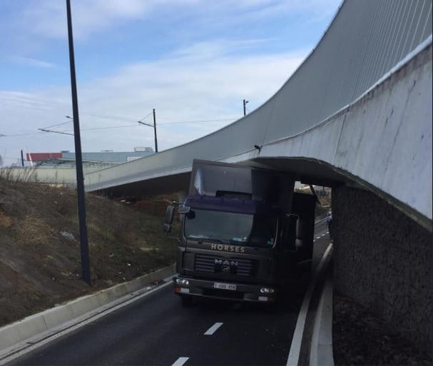 Vrachtwagen met paarden rijdt zich vast onder brug